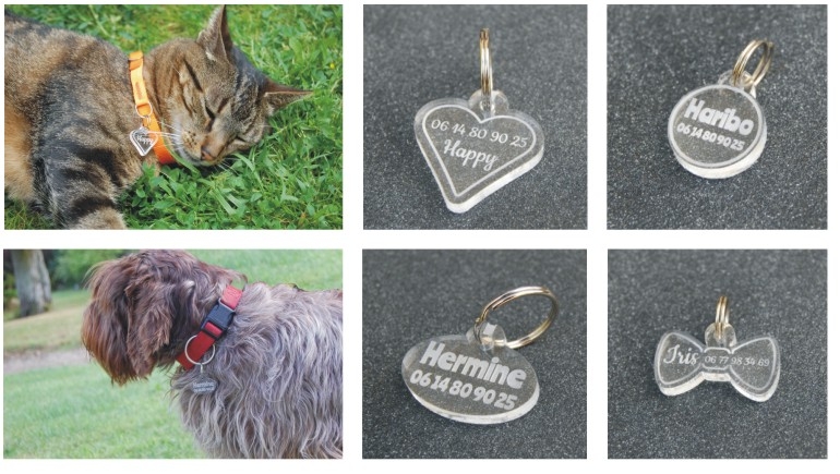 M&eacute;dailles pour animaux, personnalisation par gravure